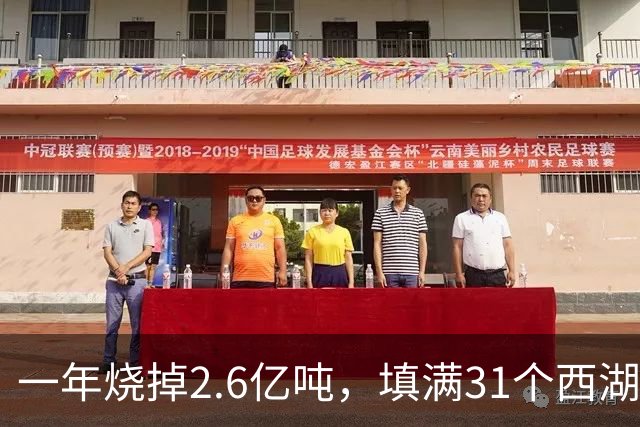 一年烧掉2.6亿吨，填满31个西湖！中国的垃圾，不够烧了？